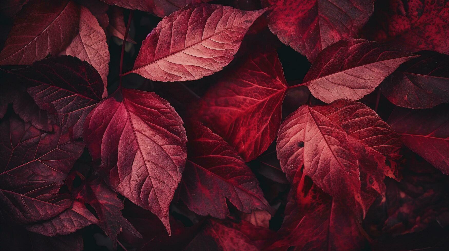 Artistic colorful oak autumn season leaves background, generate ai photo