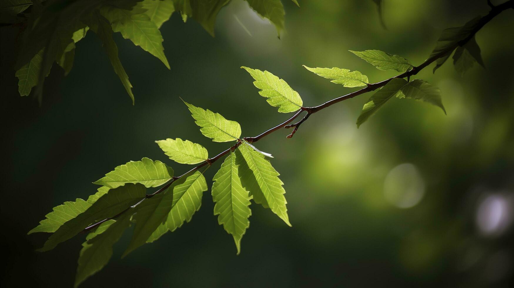 Earth Day and World Environment Day, Spring, Tropical tree leaves and branch with beautiful green forest background, generate ai photo