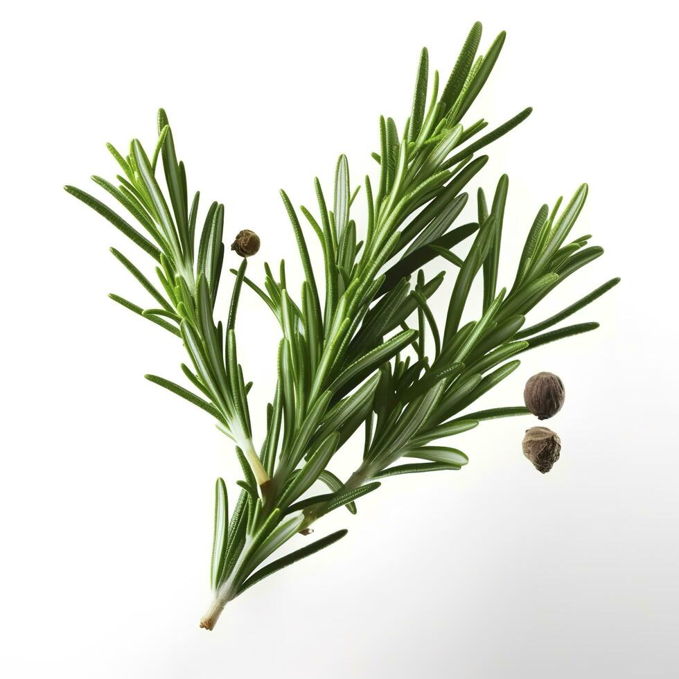 Fresh green organic rosemary leaves and pepper isolated on white background. natural transparent shadow, Ingredient, spice for cooking. collection for design, generate ai photo