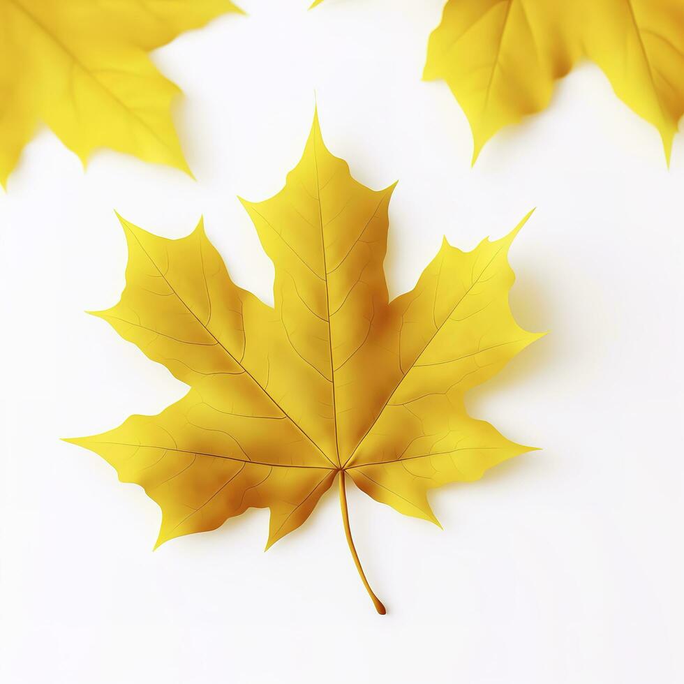 yellow maple leaf leaves on white background, generate ai photo
