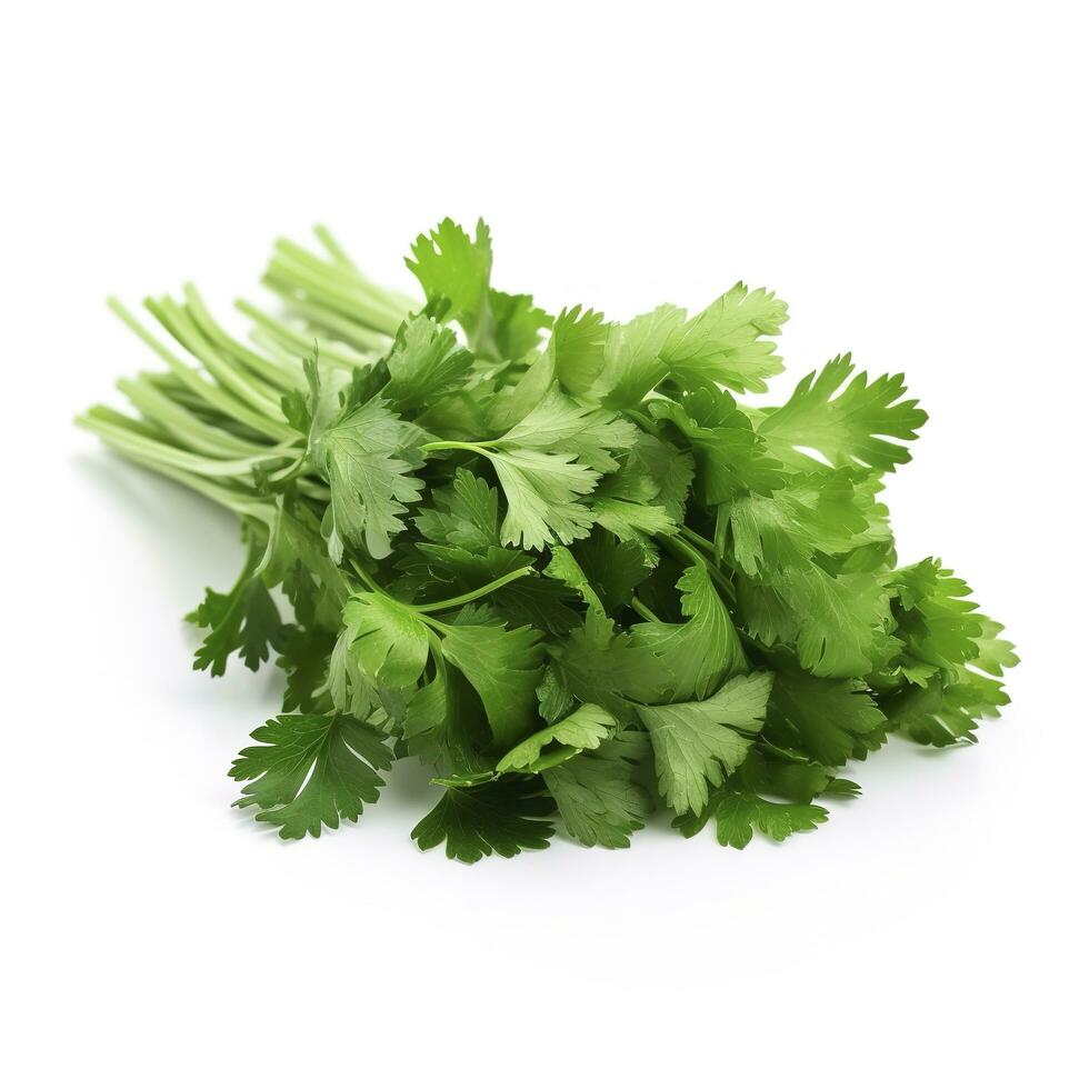 fresh cilantro coriander isolated on white background, generate ai photo