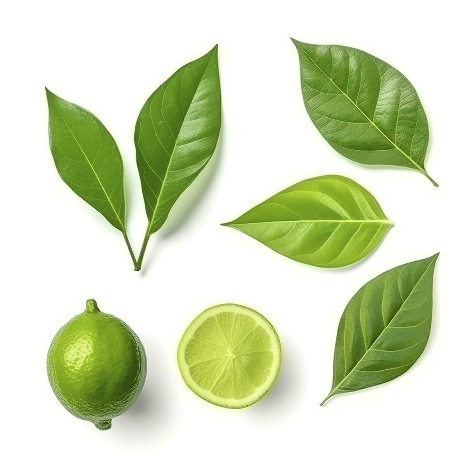 Fresh lemon with green leaves isolated on white background, generate ai photo
