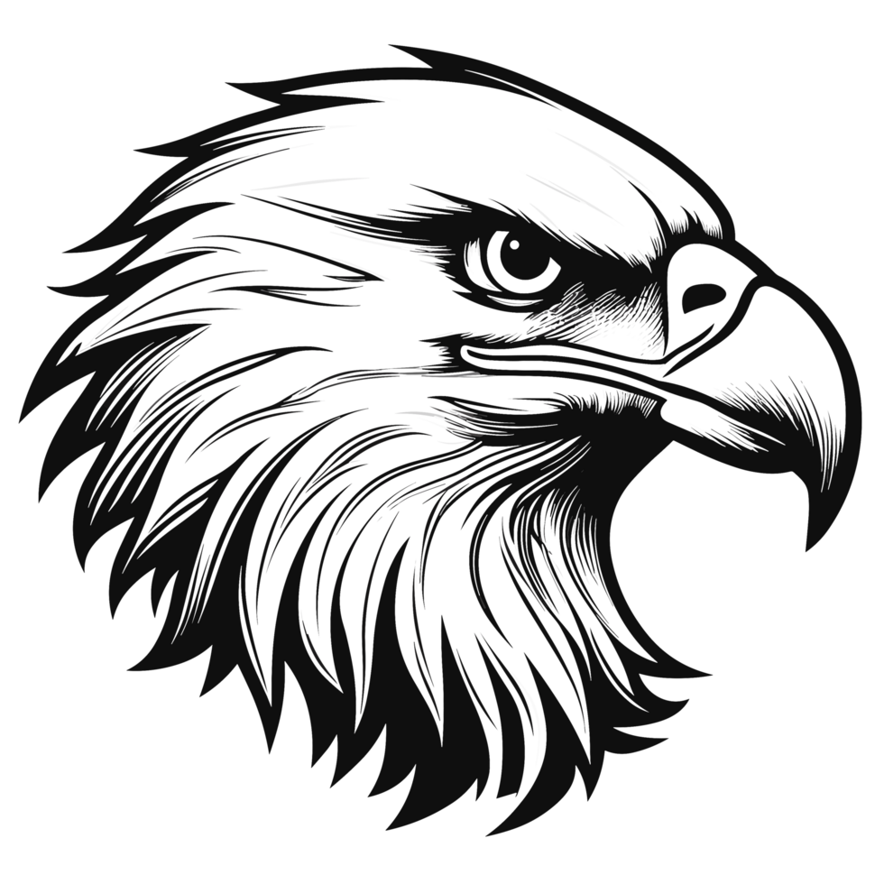 Eagle Face - png
