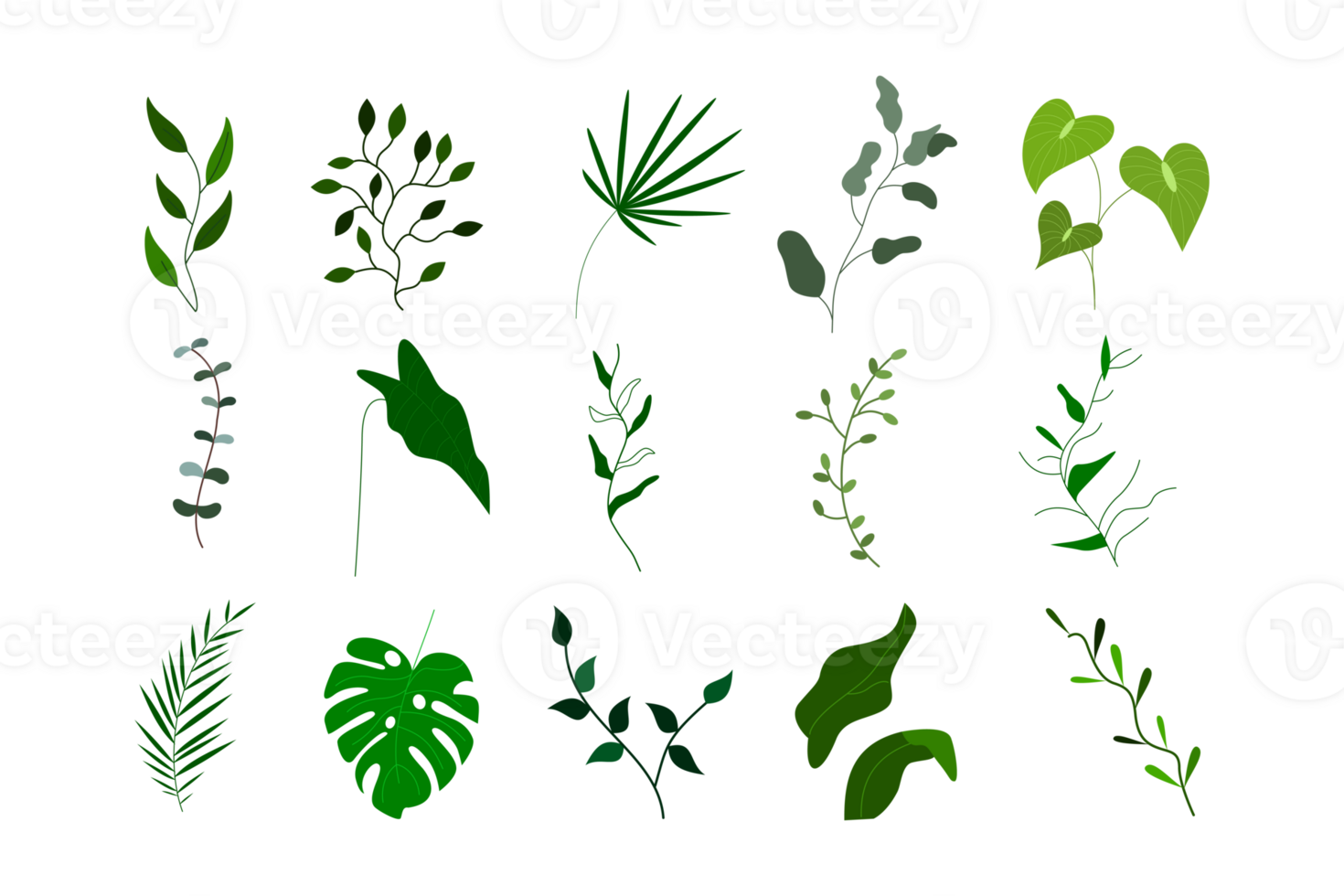 set of tropical leaf element png