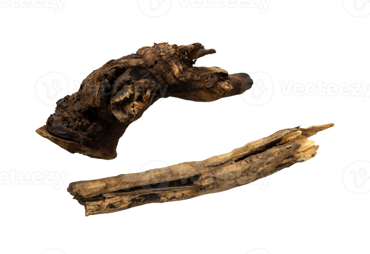 old wood and dead roots isolated png