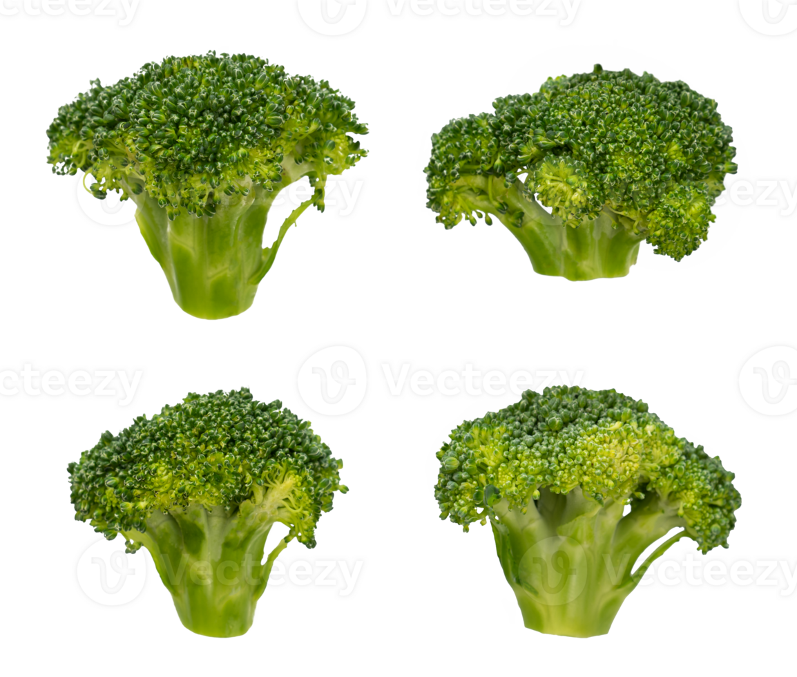 Set of broccoli isolated. Fresh vegetable element png