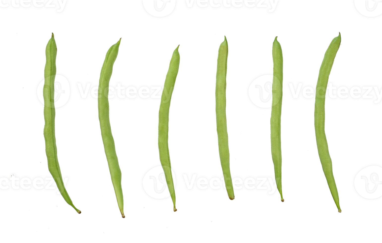 Set of fresh beans isolated. Healthy food element png