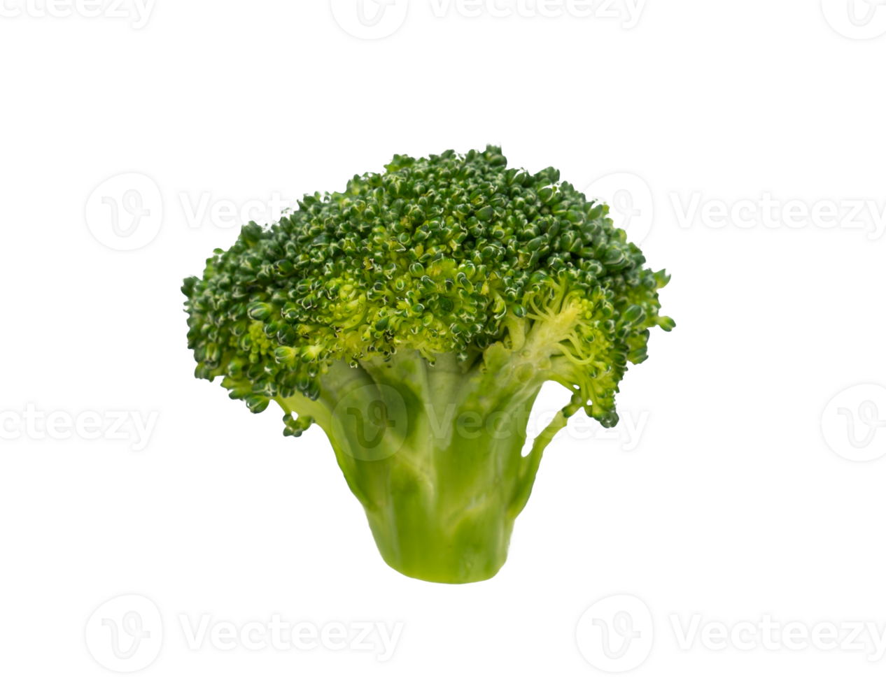 Pieces of Fresh broccoli isolated png