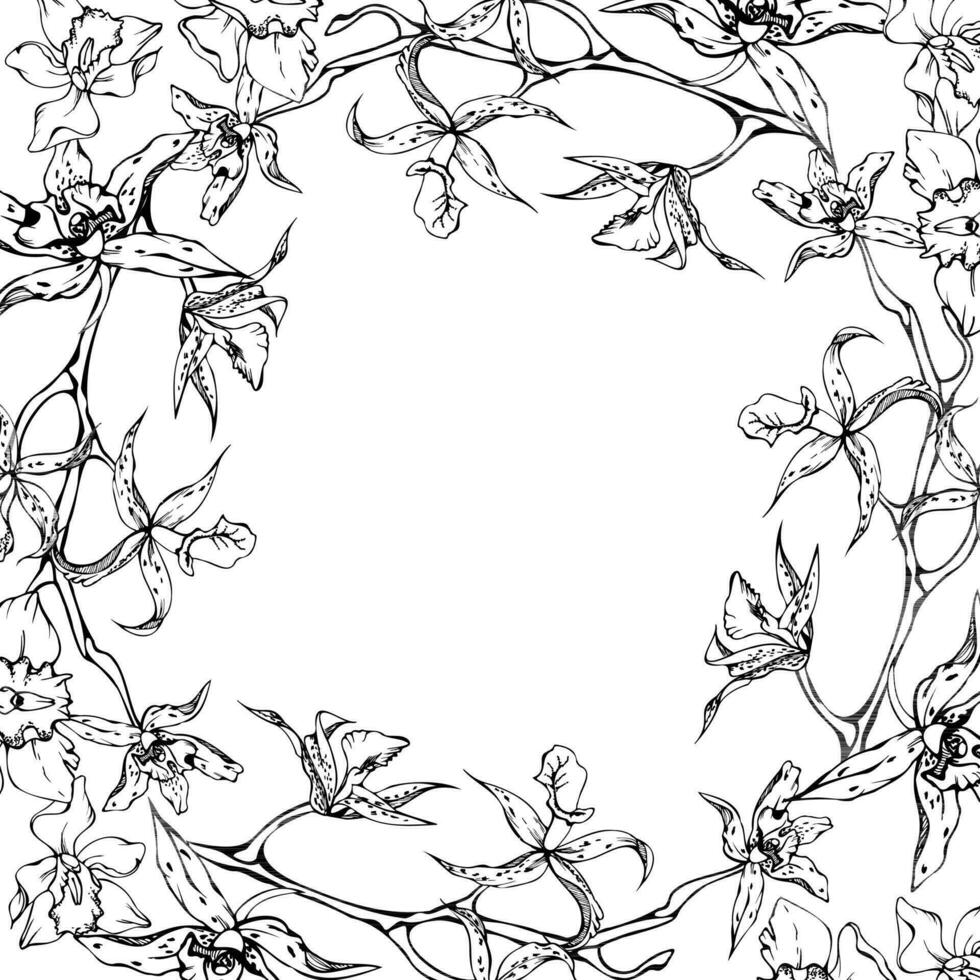 Hand drawn vector ink orchid flowers and branches, monochrome, detailed outline. Circle wreath composition. Isolated on white background. Design for wall art, wedding, print, tattoo, cover, card.