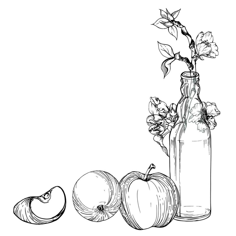 Hand drawn ink composition with apple flowers on branch with leaves and glass bottle. Isolated on white background. Design for wall art, wedding, print, fabric, cover, card, invitation. vector