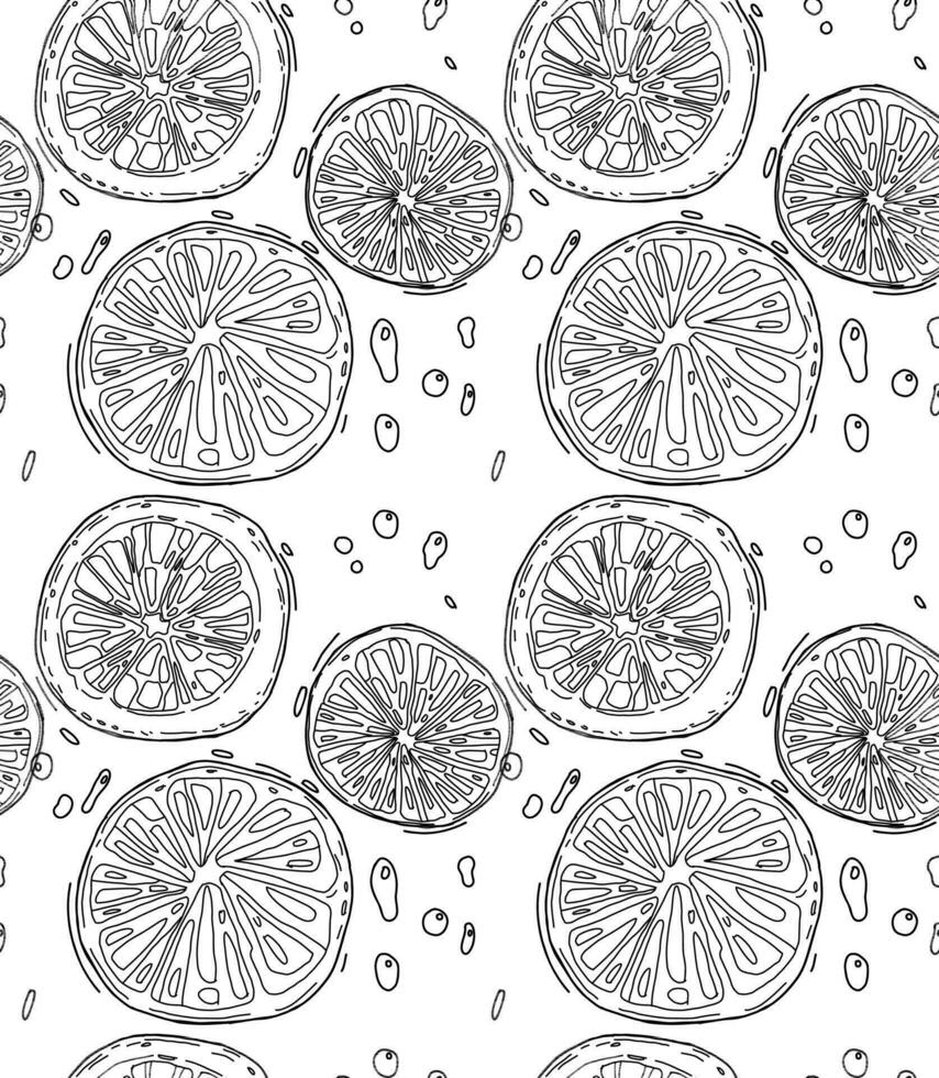 seamless pattern orange fruits hand drawn vector