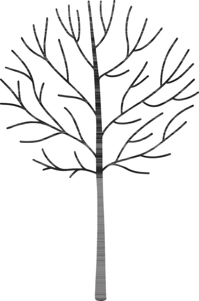 silueta desnudo árbol vector