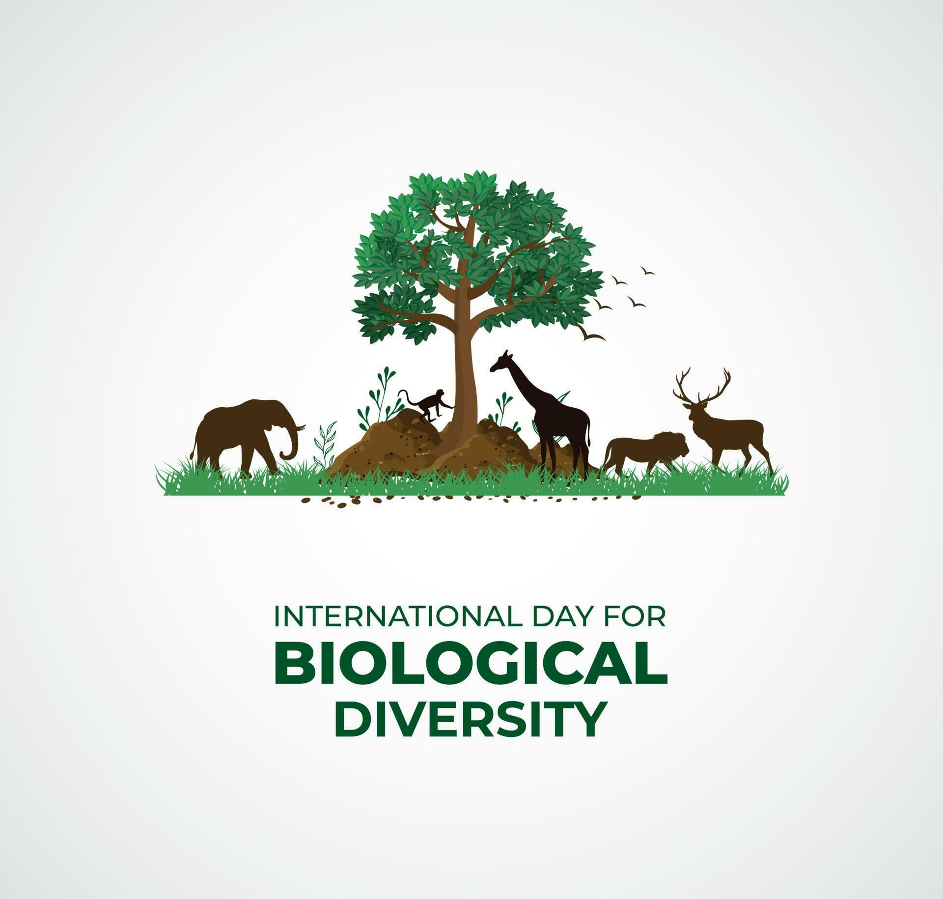 International Day for Biological Diversity. Template for background
