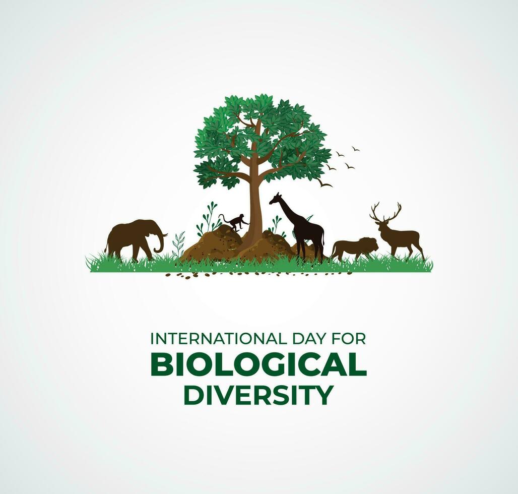 internacional día para biológico diversidad. modelo para fondo, bandera, tarjeta, póster. vector ilustración.