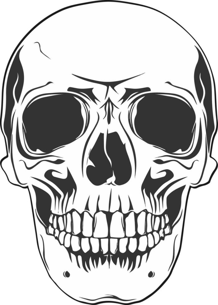 Skull design and skull vector art