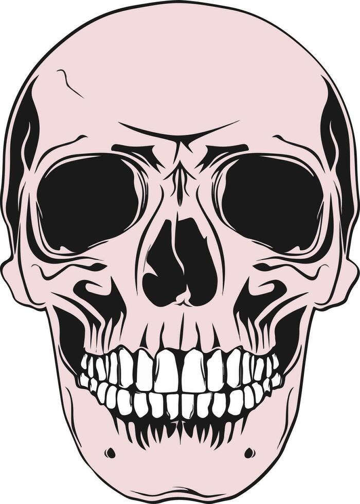 Skull design and skull vector art
