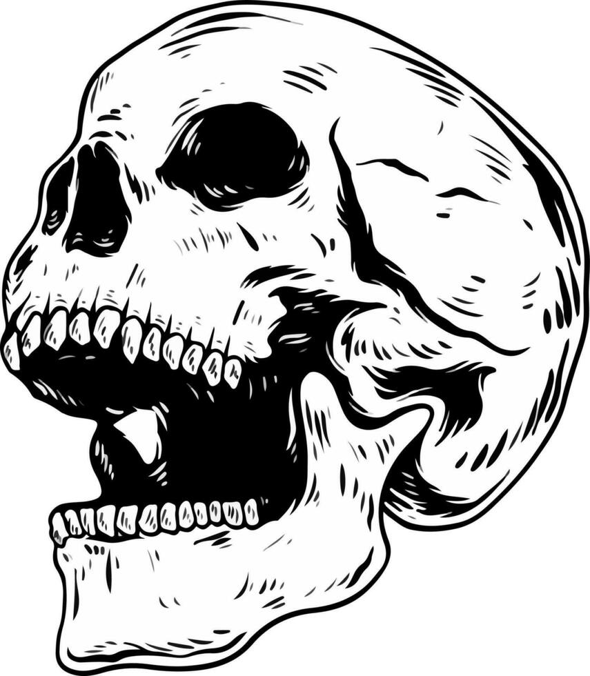 Skull design and skull vector art