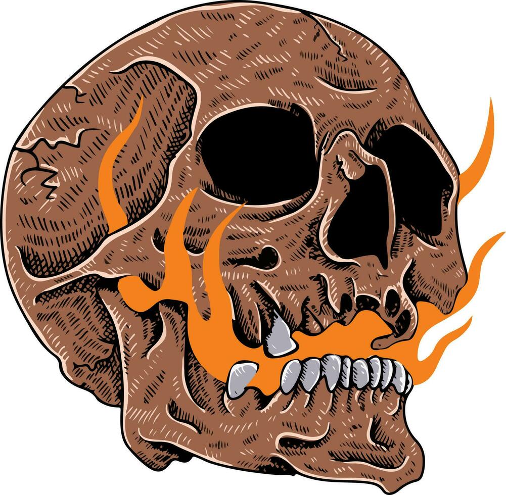 Skull design and skull vector art