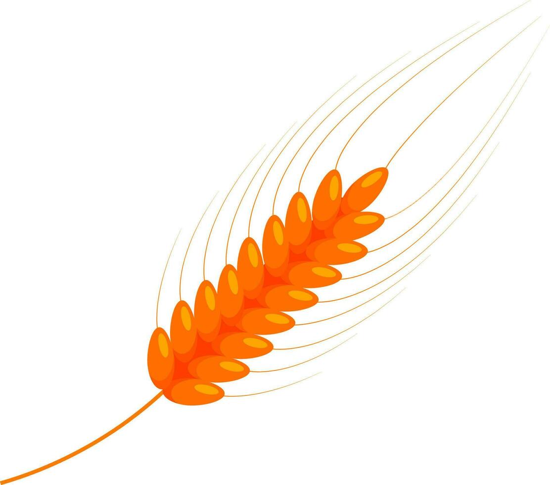 Wheat ear in orange color. vector