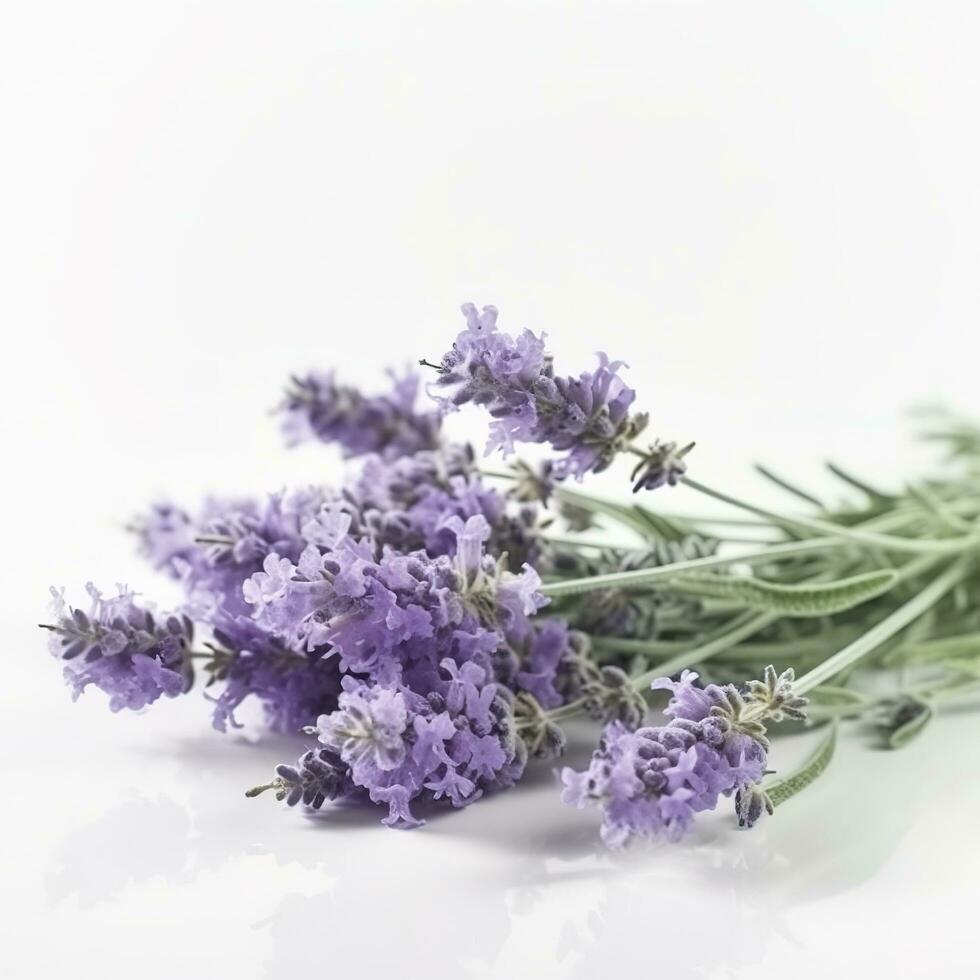 hermosa lavanda flores en blanco fondo, generar ai foto