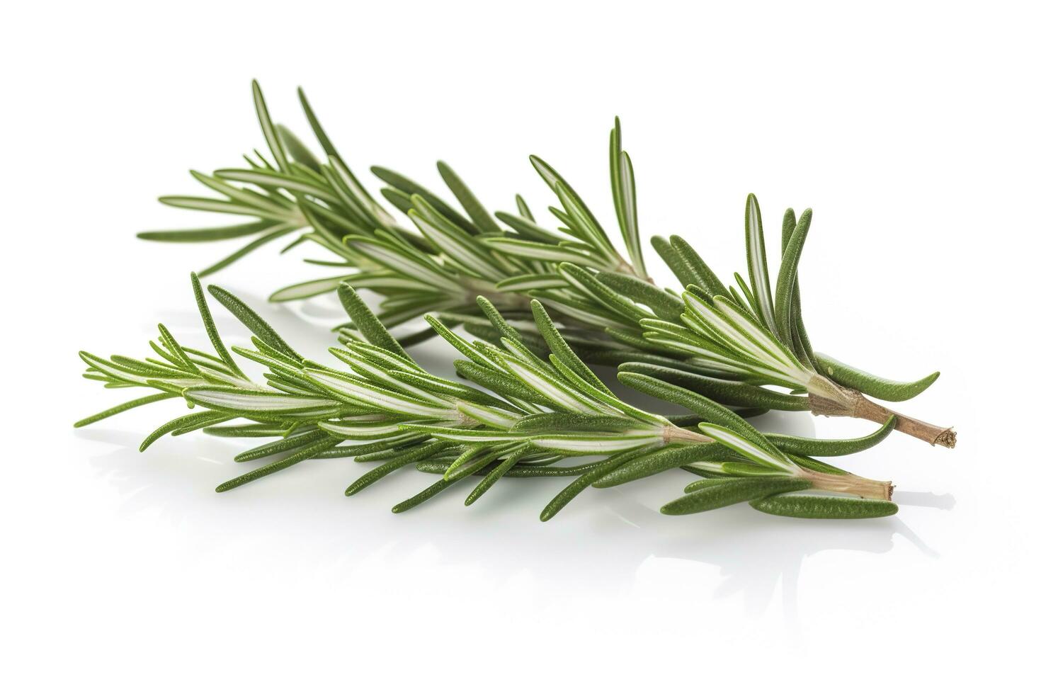 Fresh green organic rosemary leaves and peper isolated on white background, generate ai photo