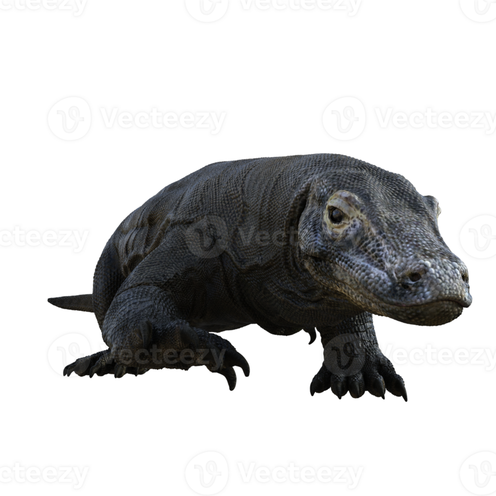 komodo aislado 3d hacer png