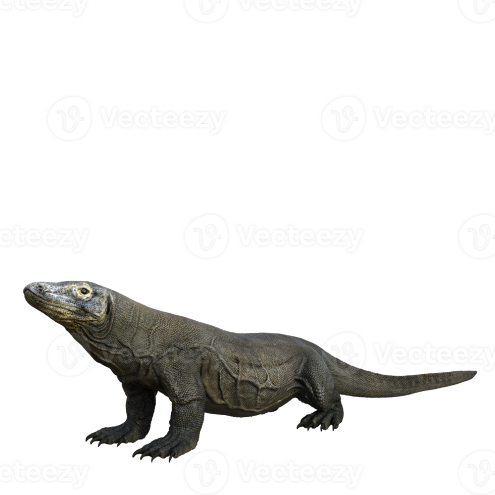 Komodo isolated 3d render png