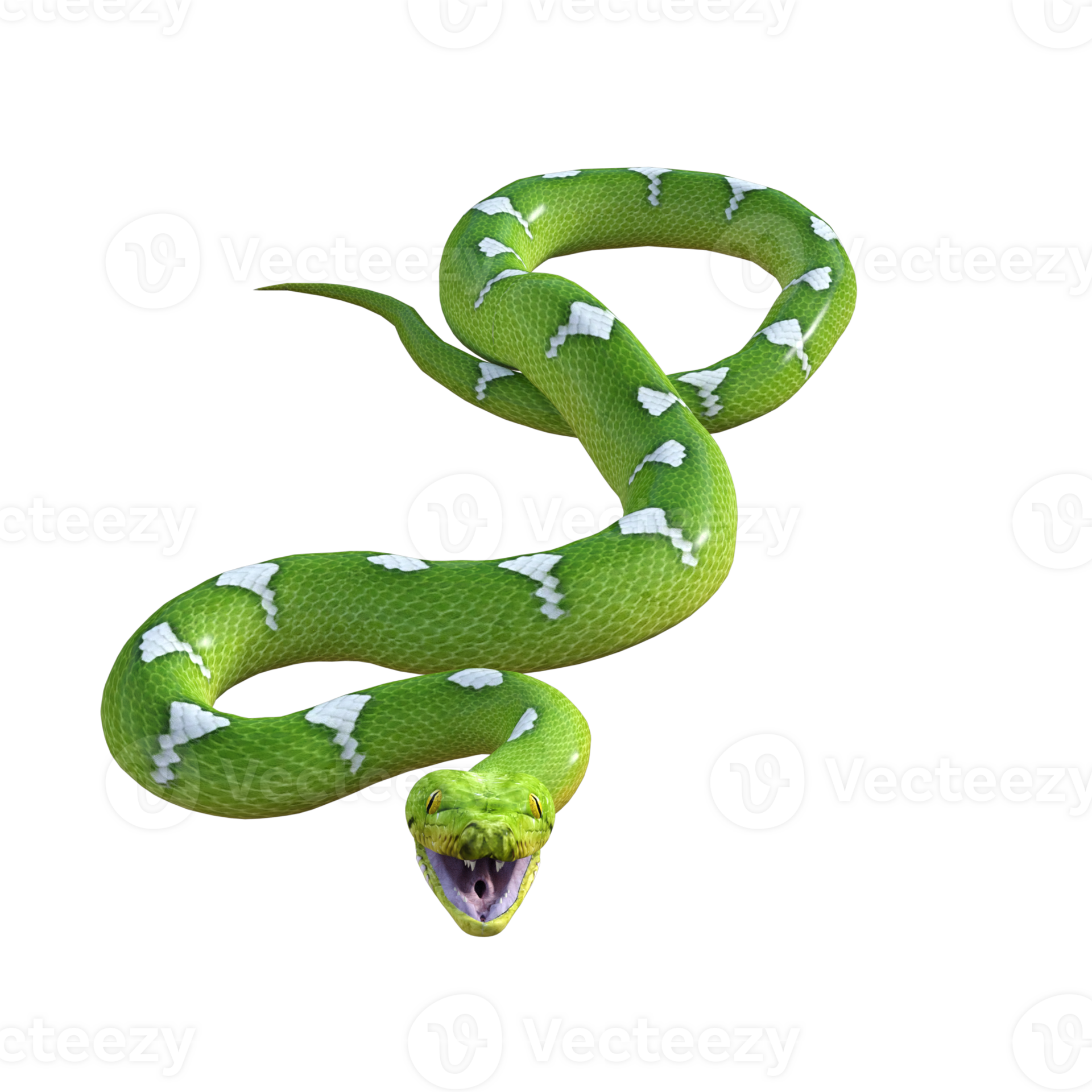 snake python isolated 3d 24485847 PNG