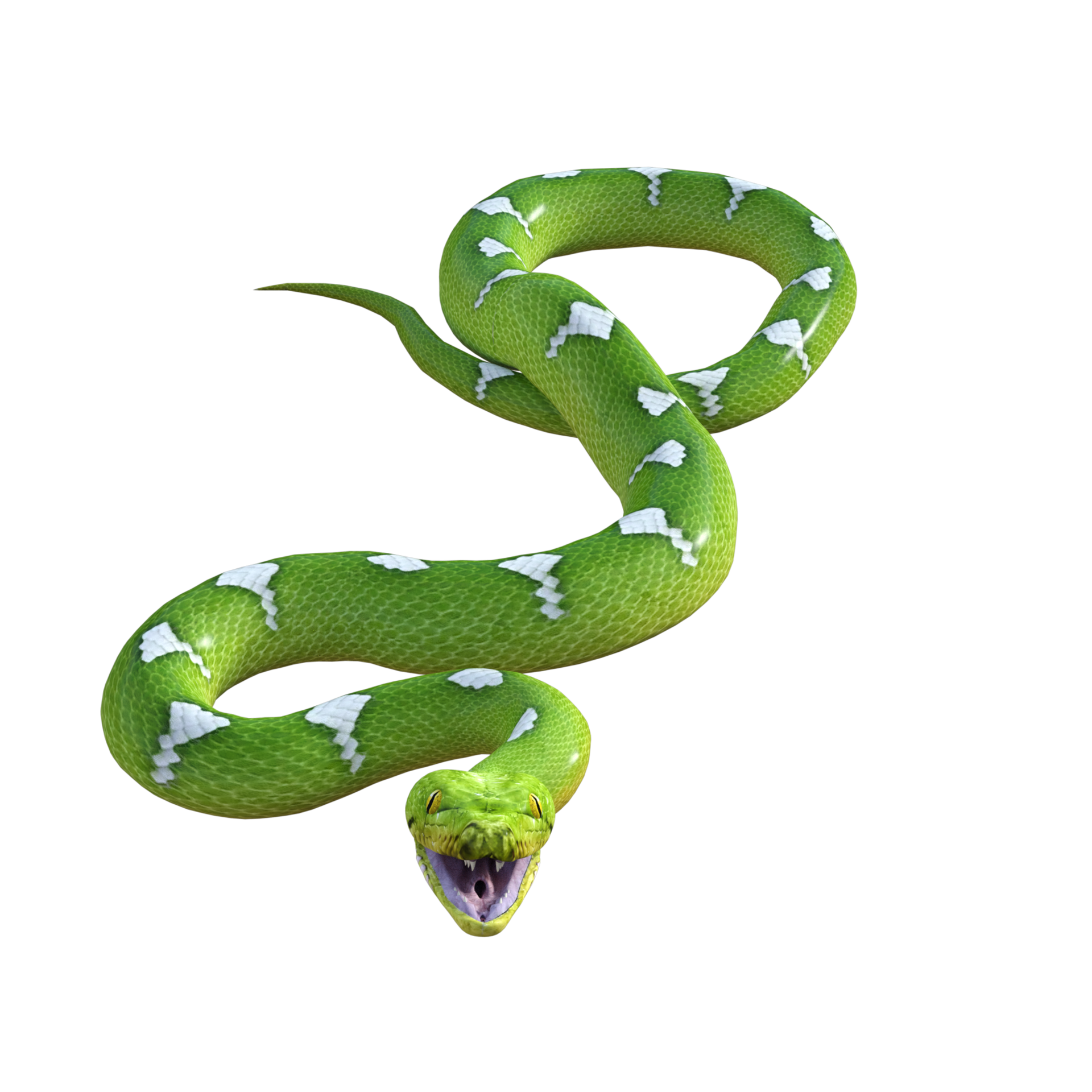 Python Snake Png