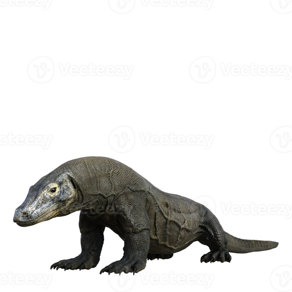 Komodo isolated 3d render png