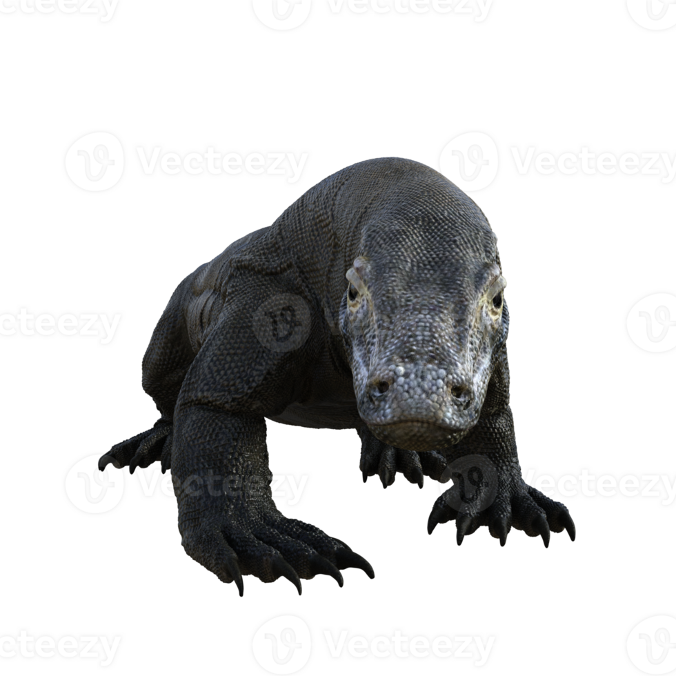 komodo isolerat 3d framställa png