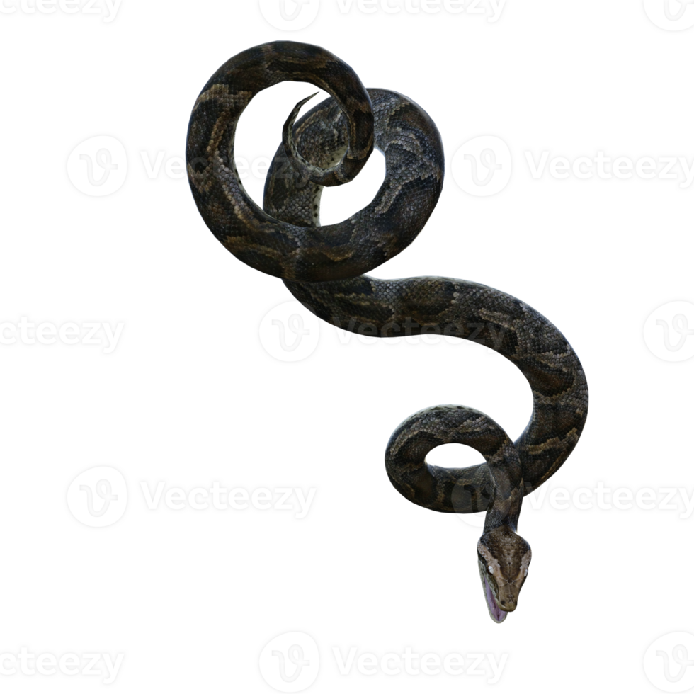 snake python isolated 3d png