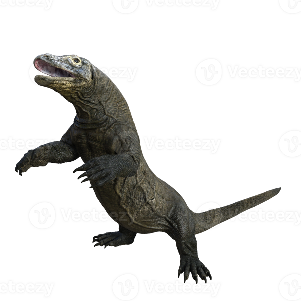 Komodo isolated 3d render png