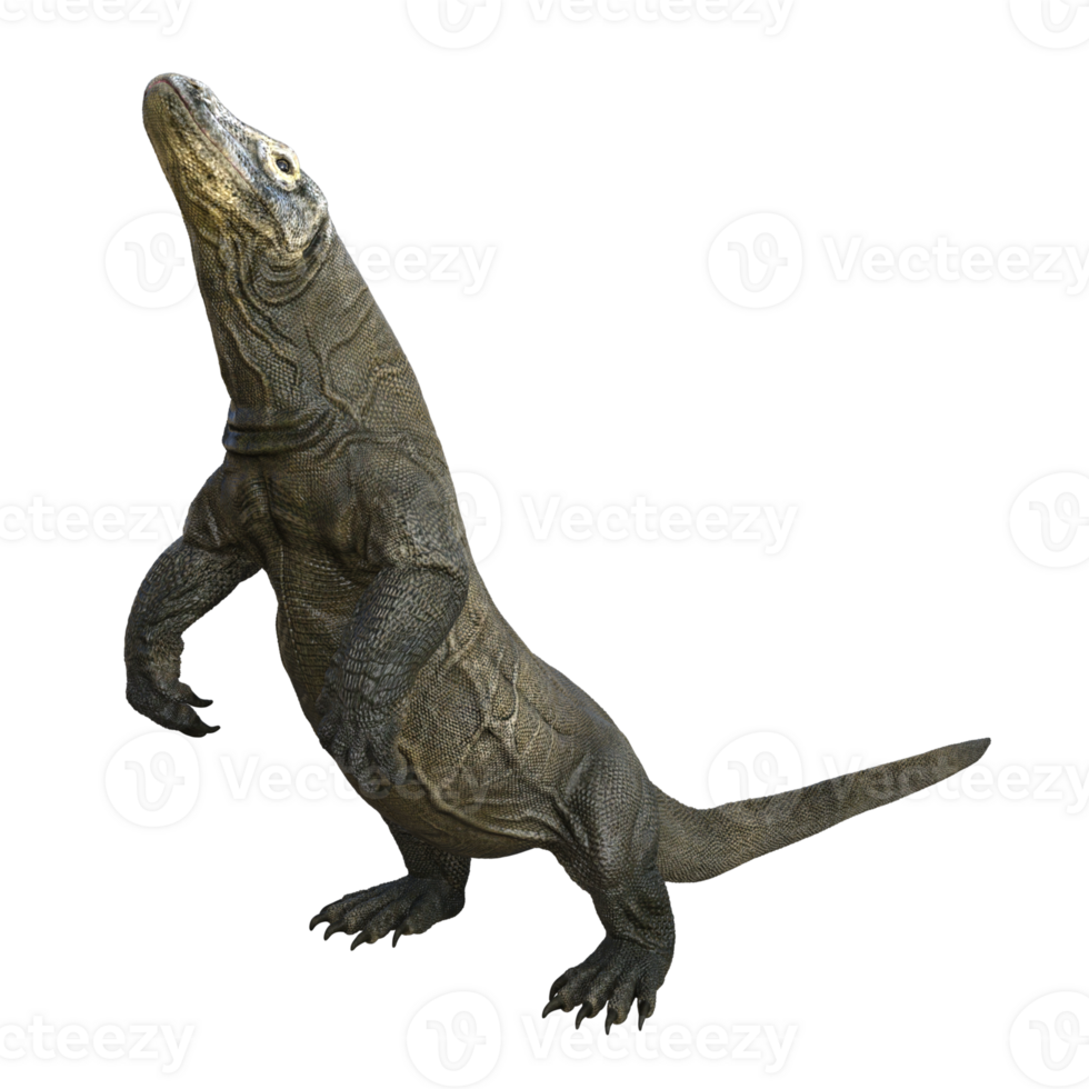 Komodo isolated 3d render png