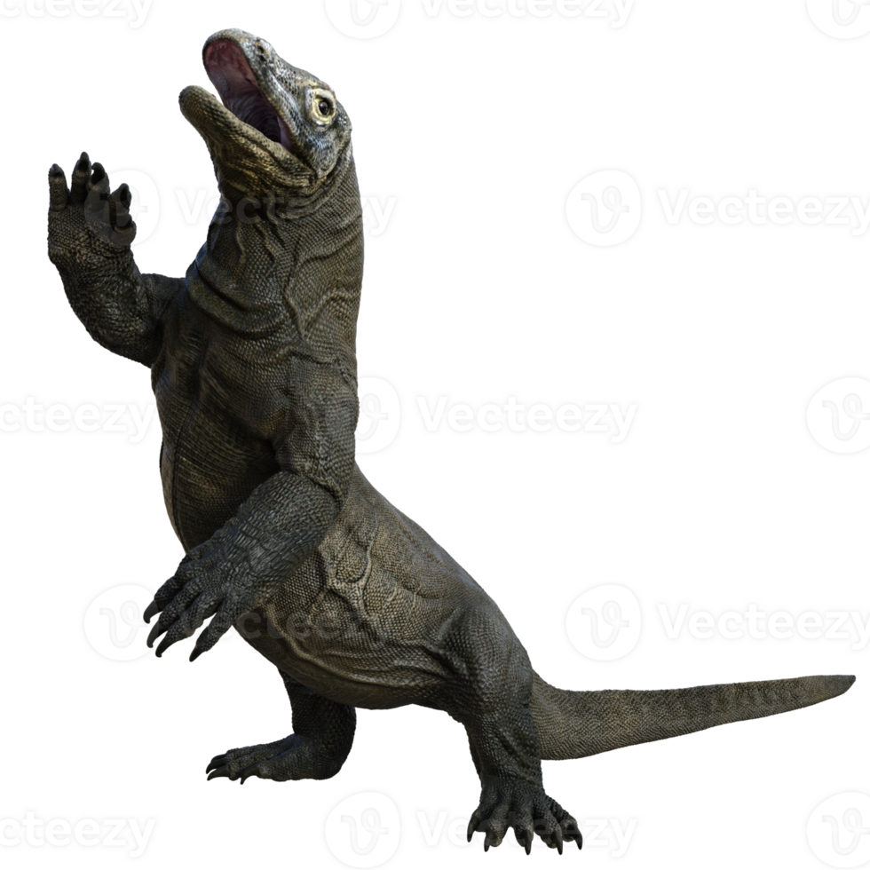 komodo geïsoleerd 3d geven png