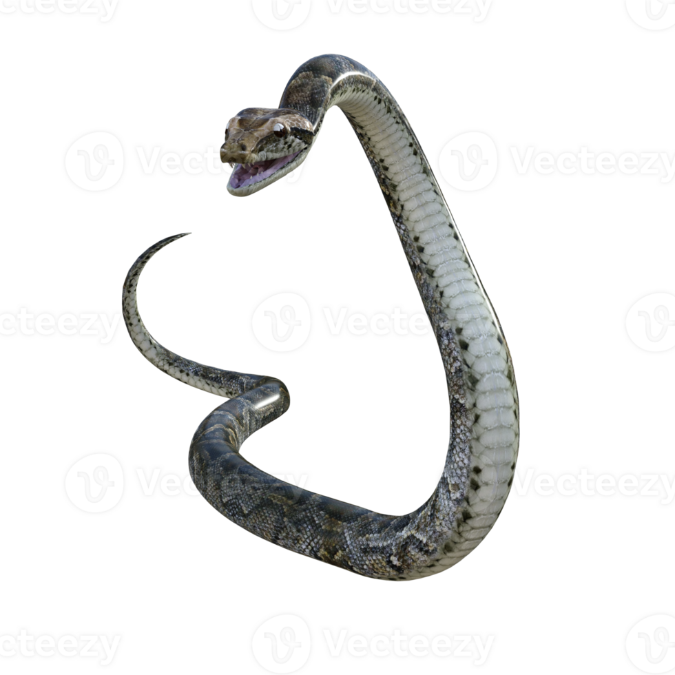 serpiente pitón aislado 3d png