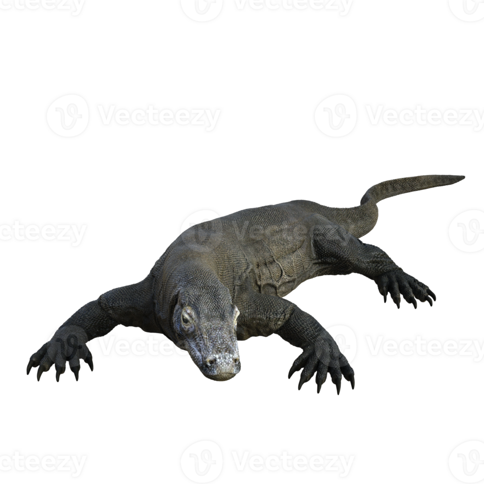 Komodo isolated 3d render png