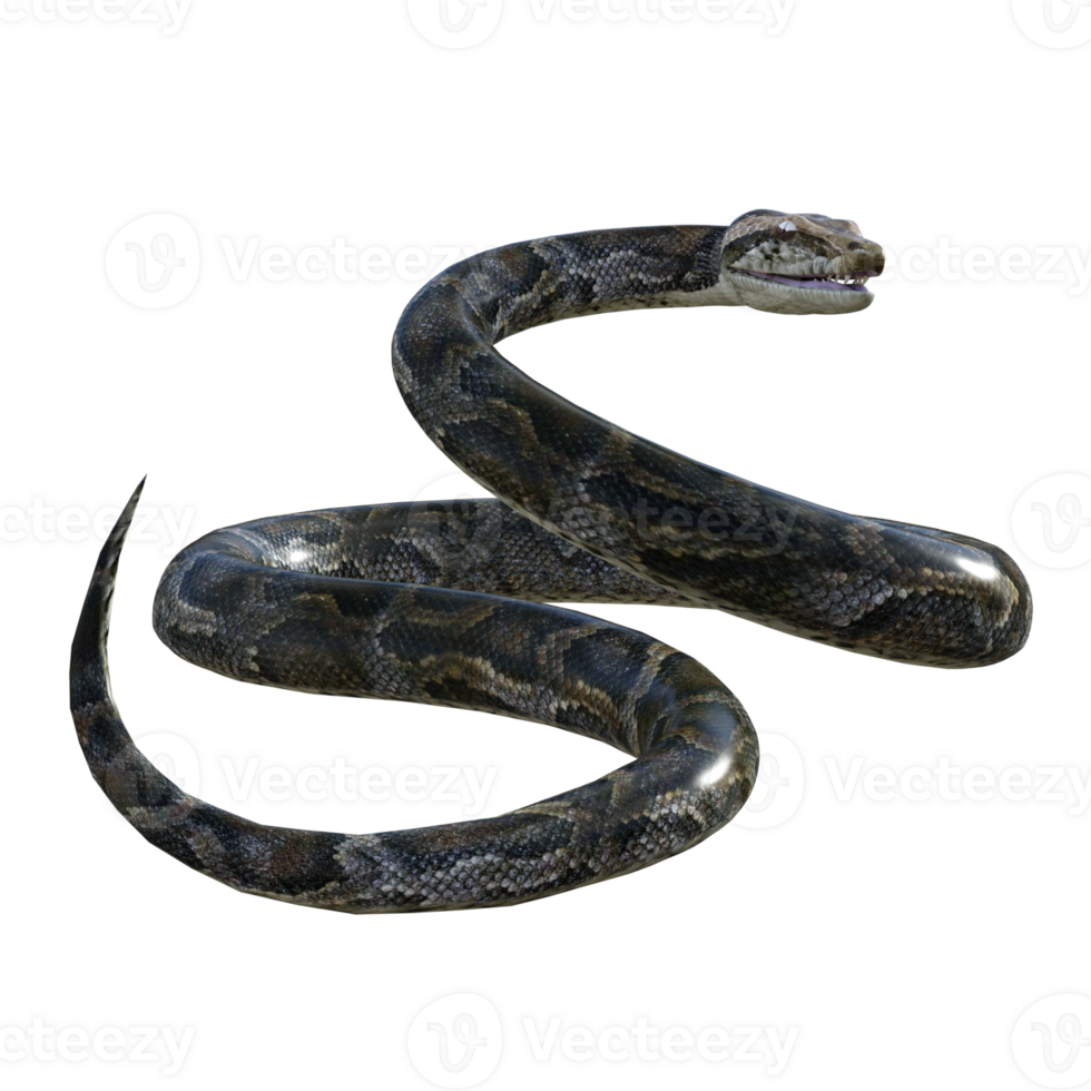 snake python isolated 3d png