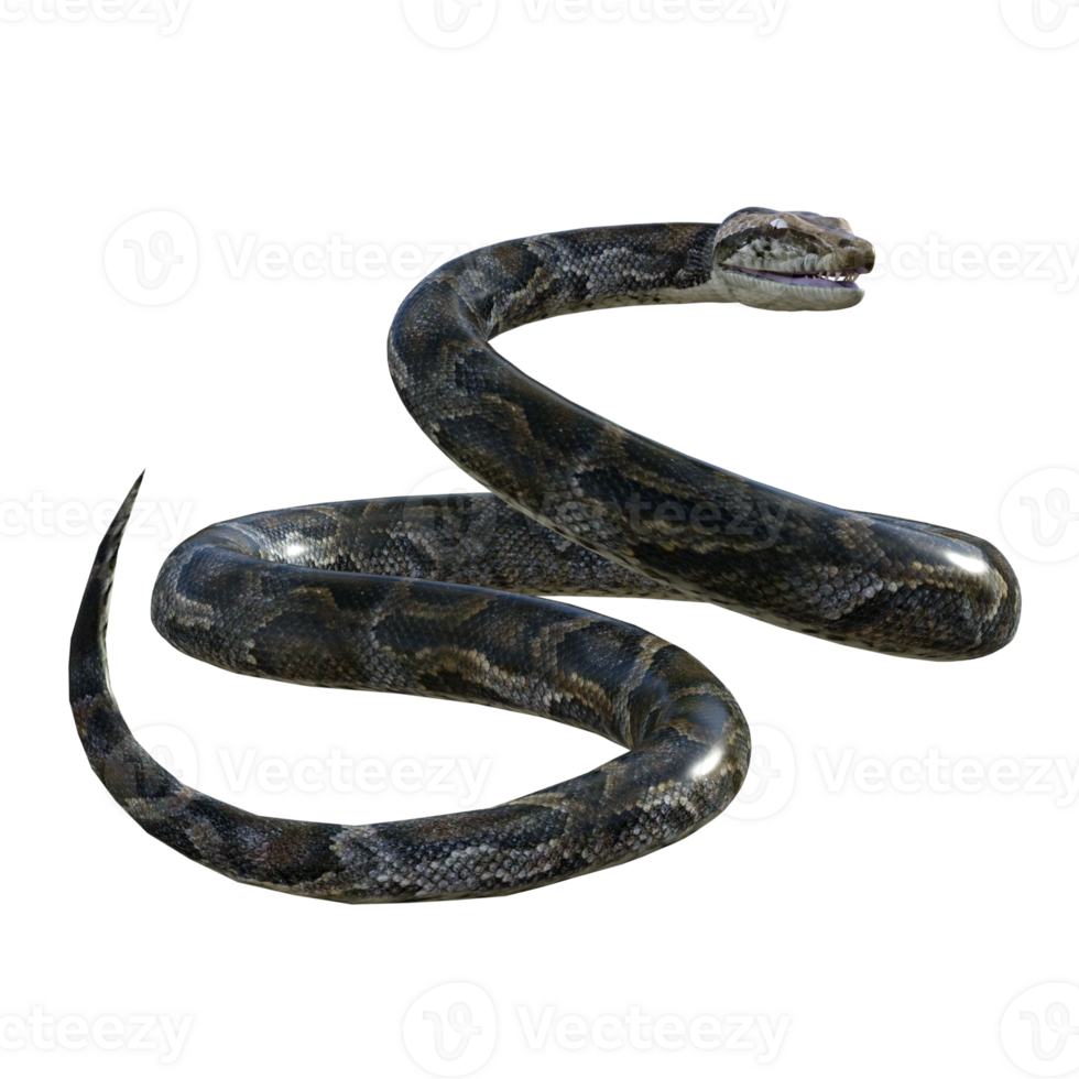 slang Python geïsoleerd 3d png