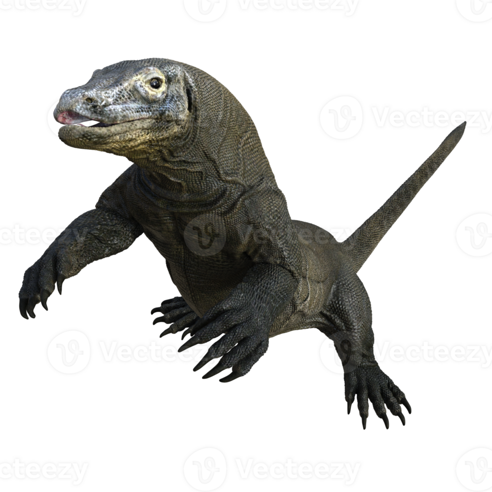 Komodo isolated 3d render png