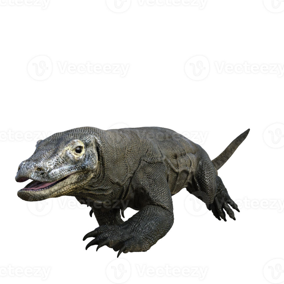 komodo isoliert 3d machen png