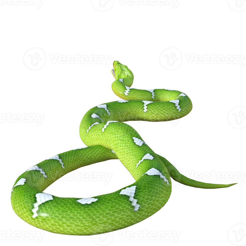 serpente Pitão isolado 3d png