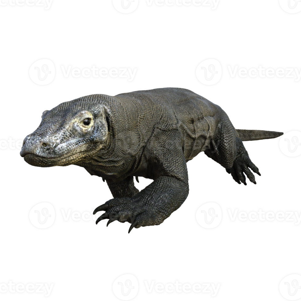 Komodo isolated 3d render png