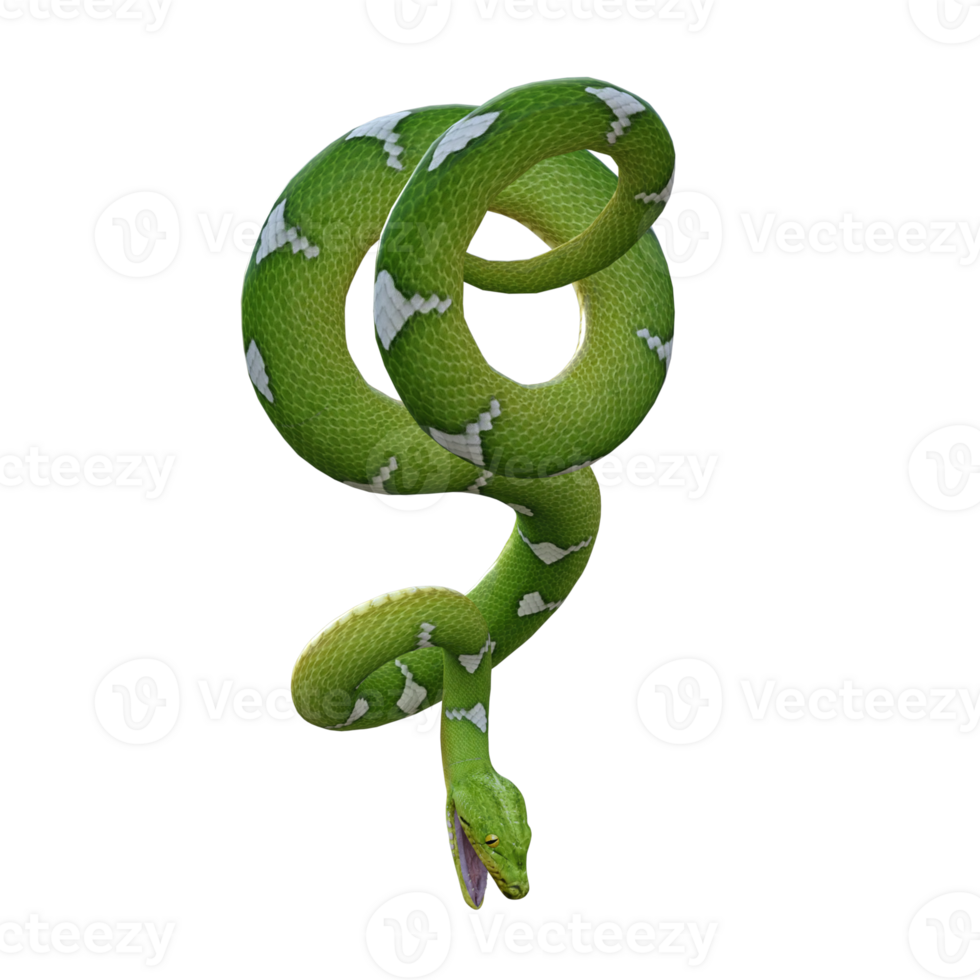 slang Python geïsoleerd 3d png