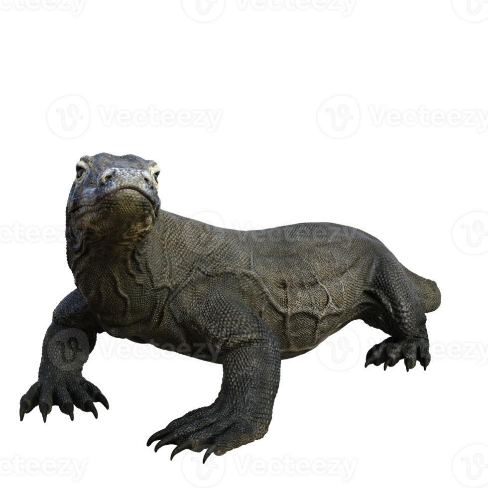 Komodo isolated 3d render png