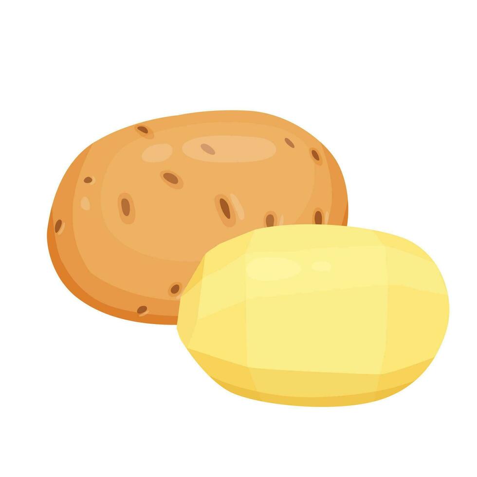 Potatoes vector illustration. isolated on white background.