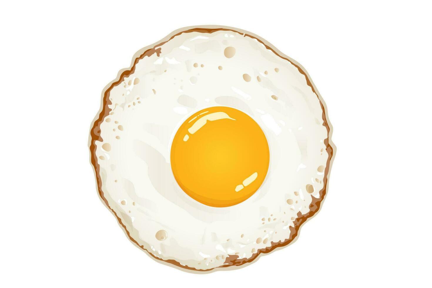 Fried egg on the white background, vector illustration.