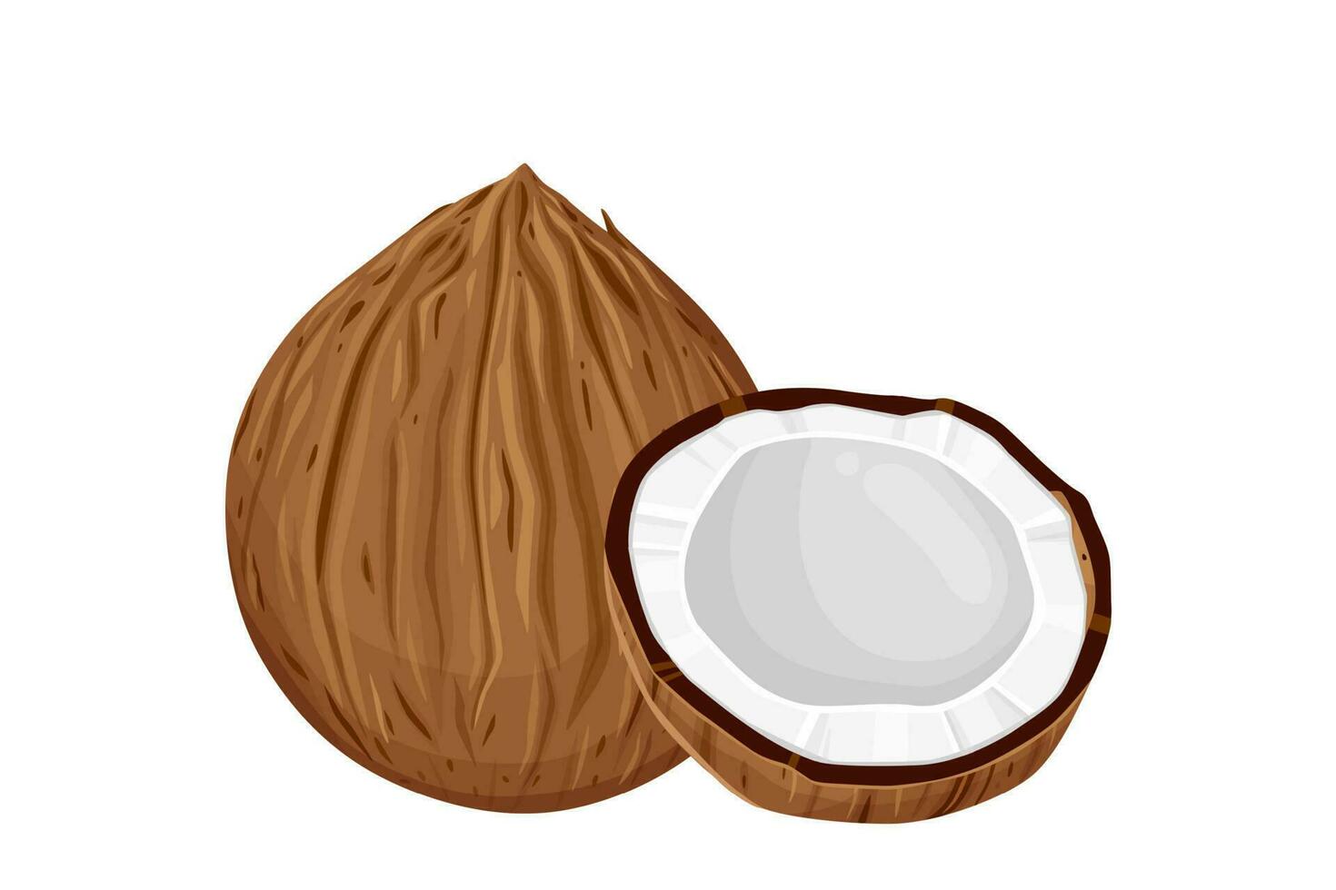 Coconuts and coconut half with leaves isolated on a white background. vector