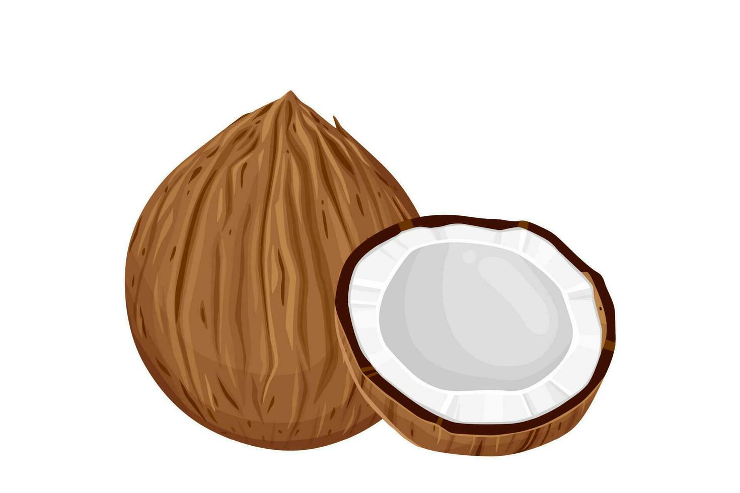 cocos y Coco medio con hojas aislado en un blanco antecedentes. vector