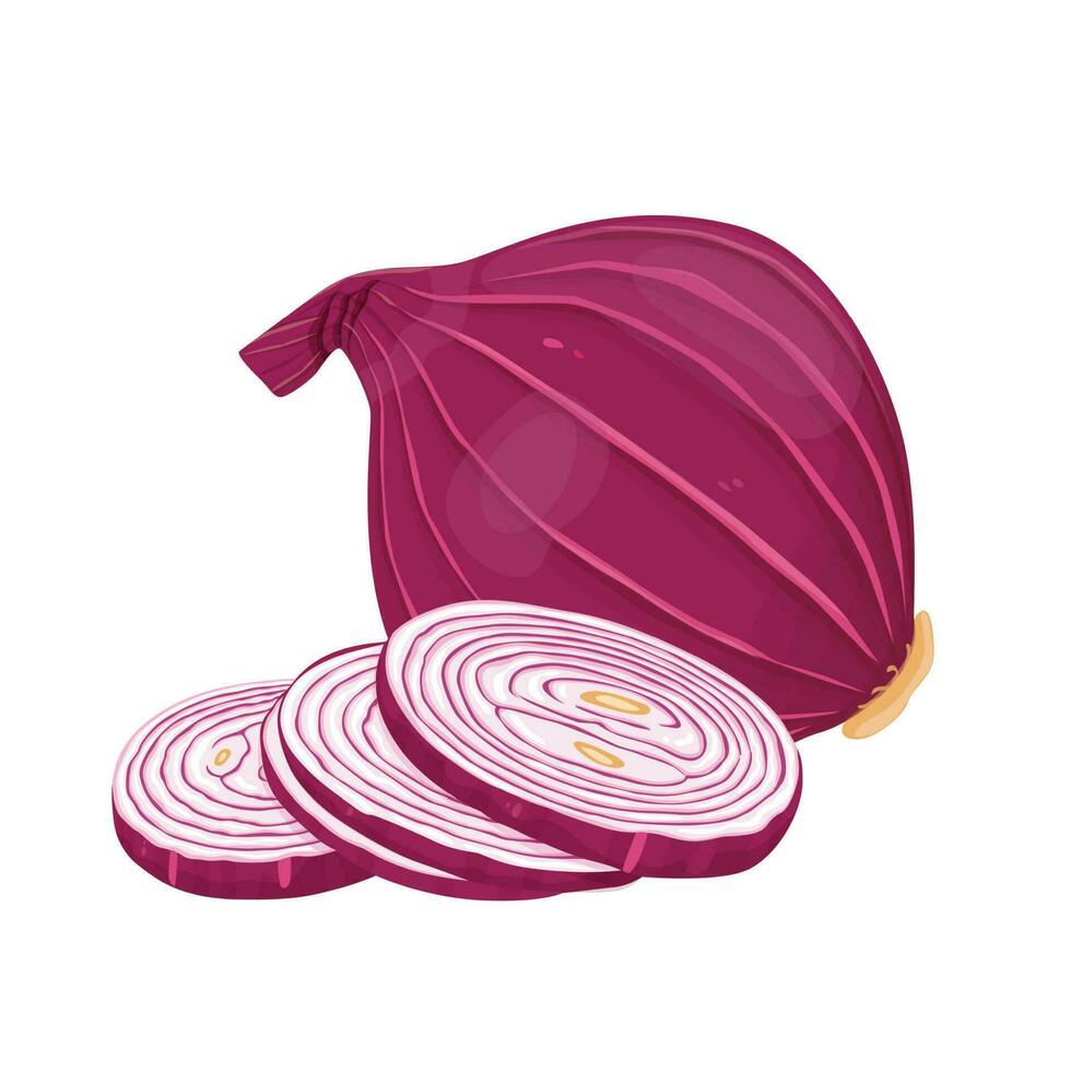 Vector fresh red onion on white. Vector illustration.